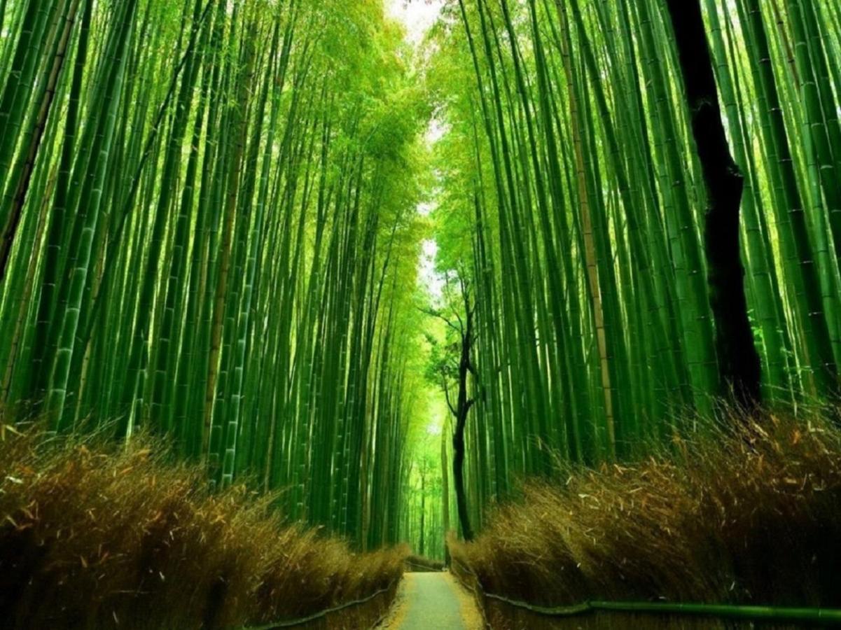 鴨川 栄の屋 Kamo River Machiya Halo House كيوتو المظهر الخارجي الصورة